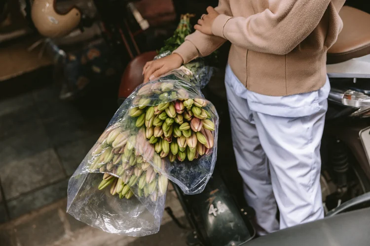 Hanoi