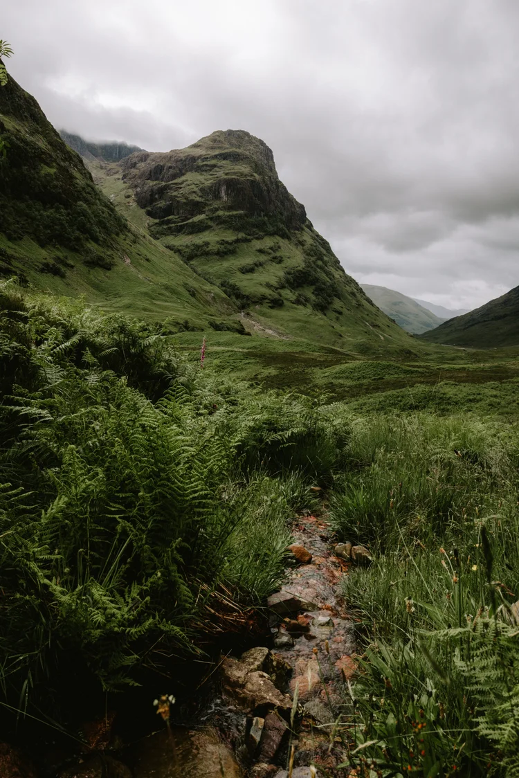 West Coast Highlands