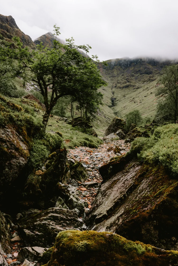 West Coast Highlands