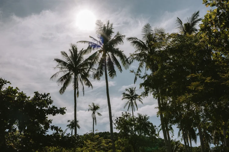 El Nido - Coron