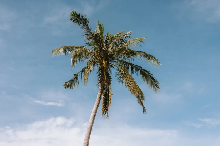 El Nido - Coron
