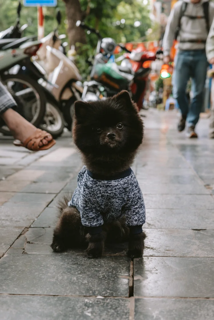 Hanoi