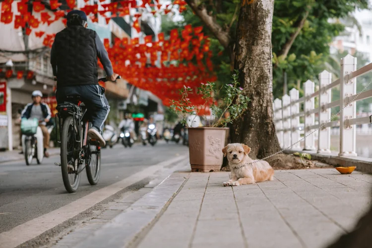 Hanoi