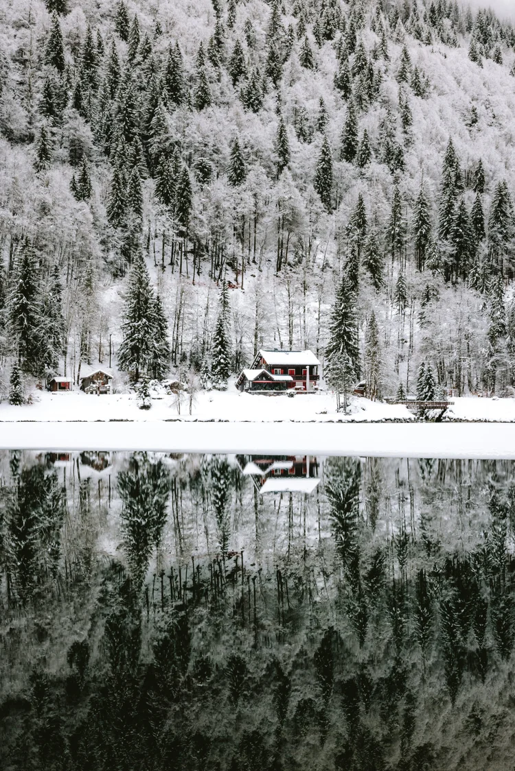Winter Mountains